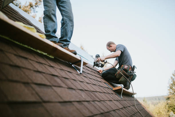 Professional Roofing Contractor in Savannah, TN